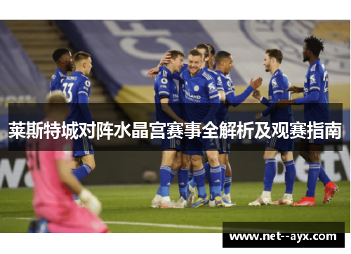 莱斯特城对阵水晶宫赛事全解析及观赛指南