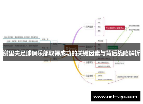 谢里夫足球俱乐部取得成功的关键因素与背后战略解析