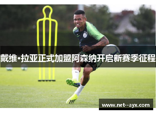 戴维·拉亚正式加盟阿森纳开启新赛季征程 戴维·拉亚正式加盟阿森纳开启新赛季征程