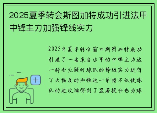 2025夏季转会斯图加特成功引进法甲中锋主力加强锋线实力 2025夏季转会斯图加特成功引进法甲中锋主力加强锋线实力
