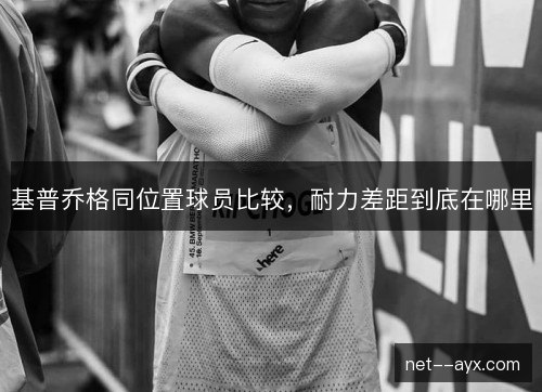 基普乔格同位置球员比较，耐力差距到底在哪里